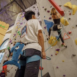 Sac magnésie Requin